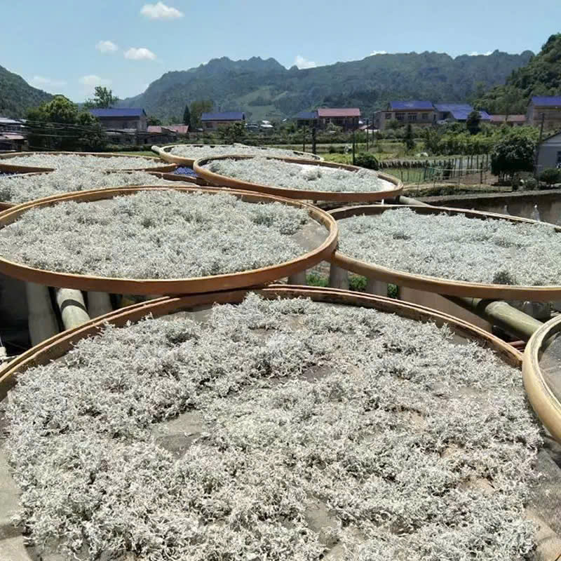 tra-mam-xoi-truong-gia-gioi-1