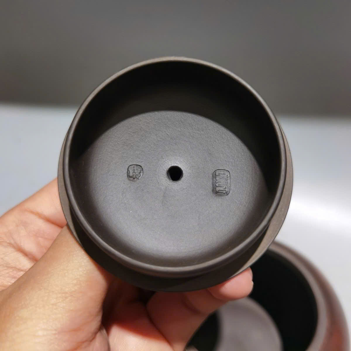 am-ne-hung-tay-thi-dieu-bien-5