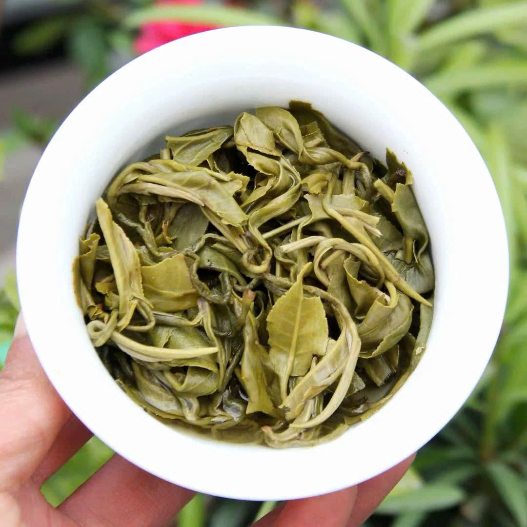 bich-loan-xuan-11